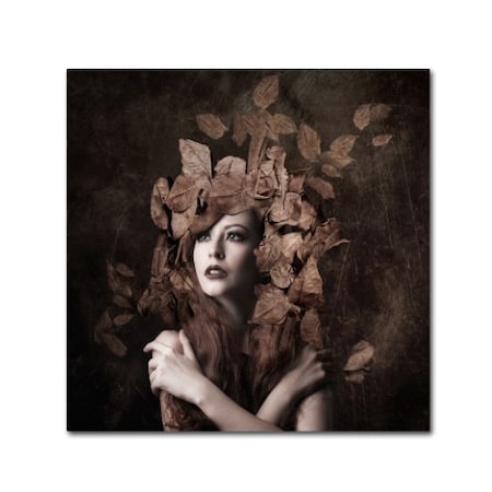 Trademark Fine Art Faizal Besari 'Artemis Daughter Of Zeus' Canvas Art, 14x14 1X03319-C1414GG